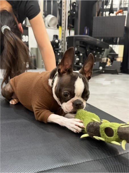 トレーニング中に愛犬と過ごす様子